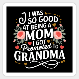 Promoted to Grandma Sticker